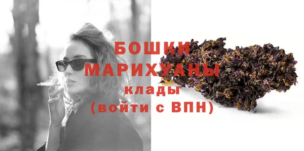 mdpv Богородицк