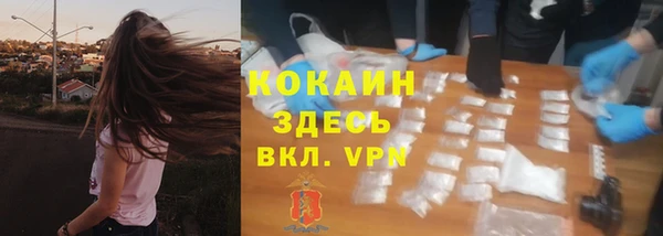 mdpv Богородицк