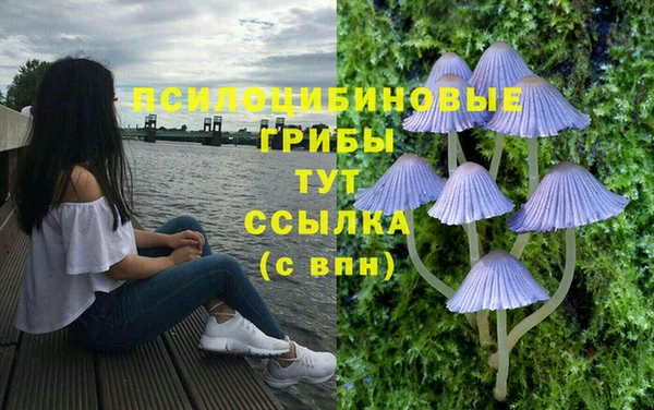 mdpv Богородицк