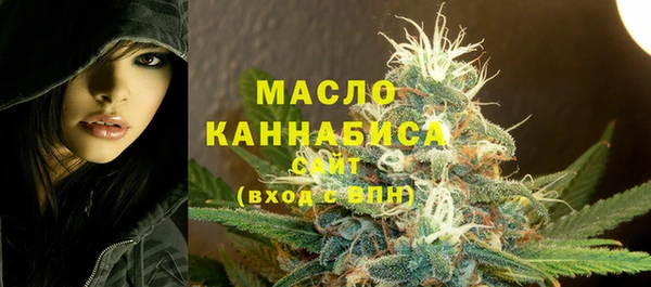 mdpv Богородицк