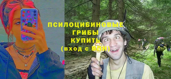молекула духа Богородск