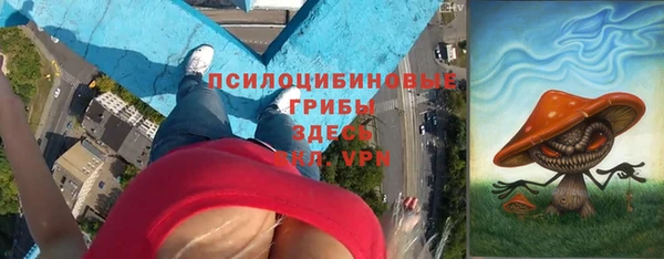 mdpv Богородицк