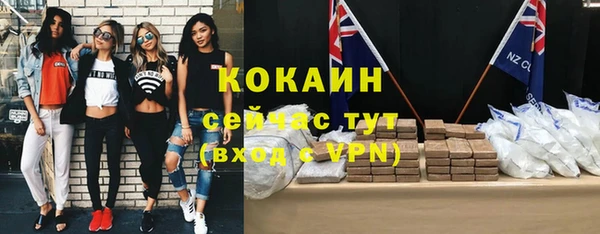 молекула духа Богородск
